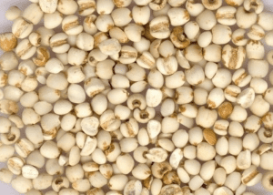 Kem dưỡng từ thảo mộc chiết xuất ý dĩ