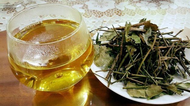 Có nên uống nước lá mỗi ngày để thanh lọc cơ thể