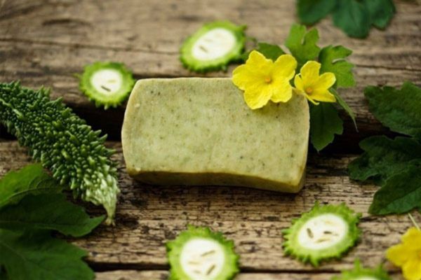 Mướp đắng là nguyên liệu thiên nhiên chăm sóc da dễ tìm